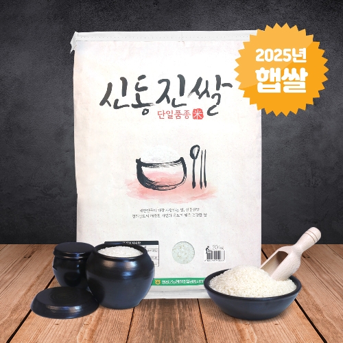신동진 20kg